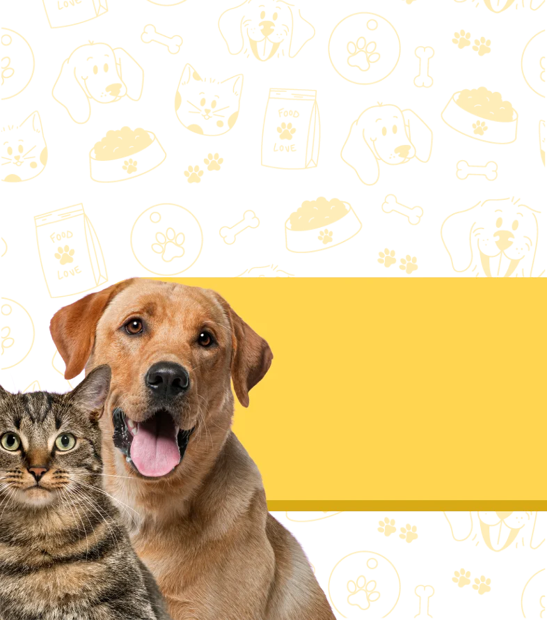 Mimo Pet shop