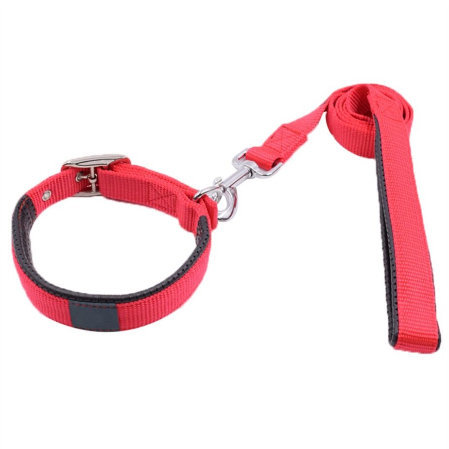 Conjunto Correa y Collar Mediano