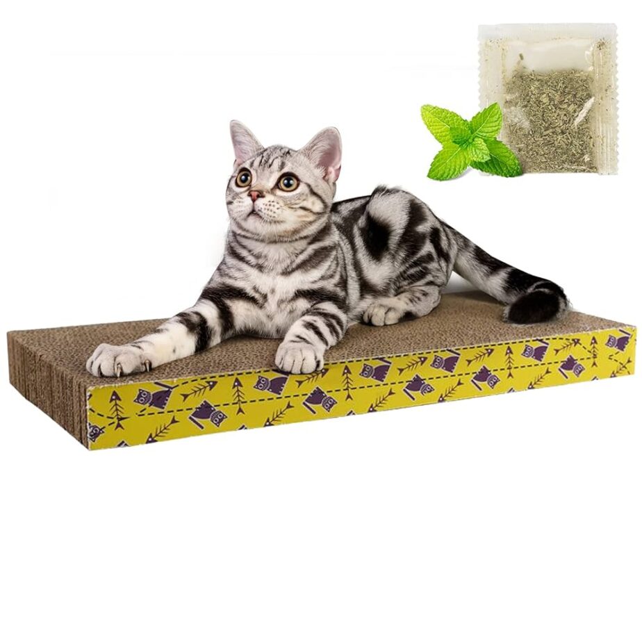 Rascador plano