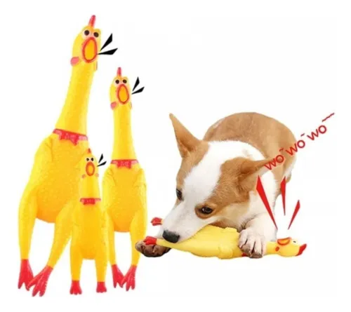 Gallina