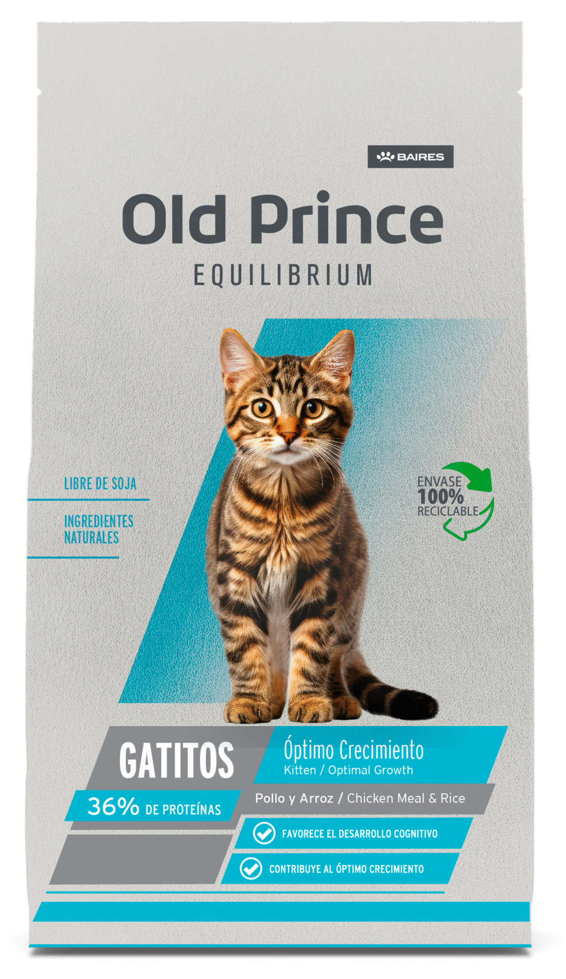 Old Prince Equilibrium gato kitten 3kg