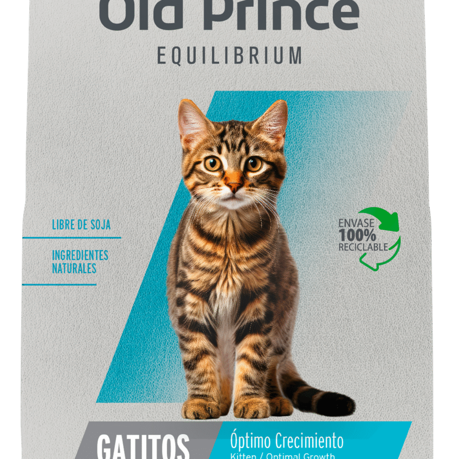 Old Prince Equilibrium gato kitten 1kg