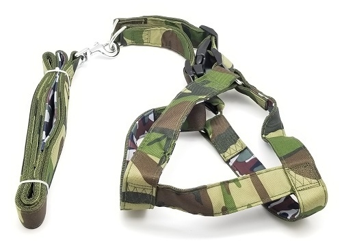 Conjunto Correa y Pretal Extra Grande Reforzado