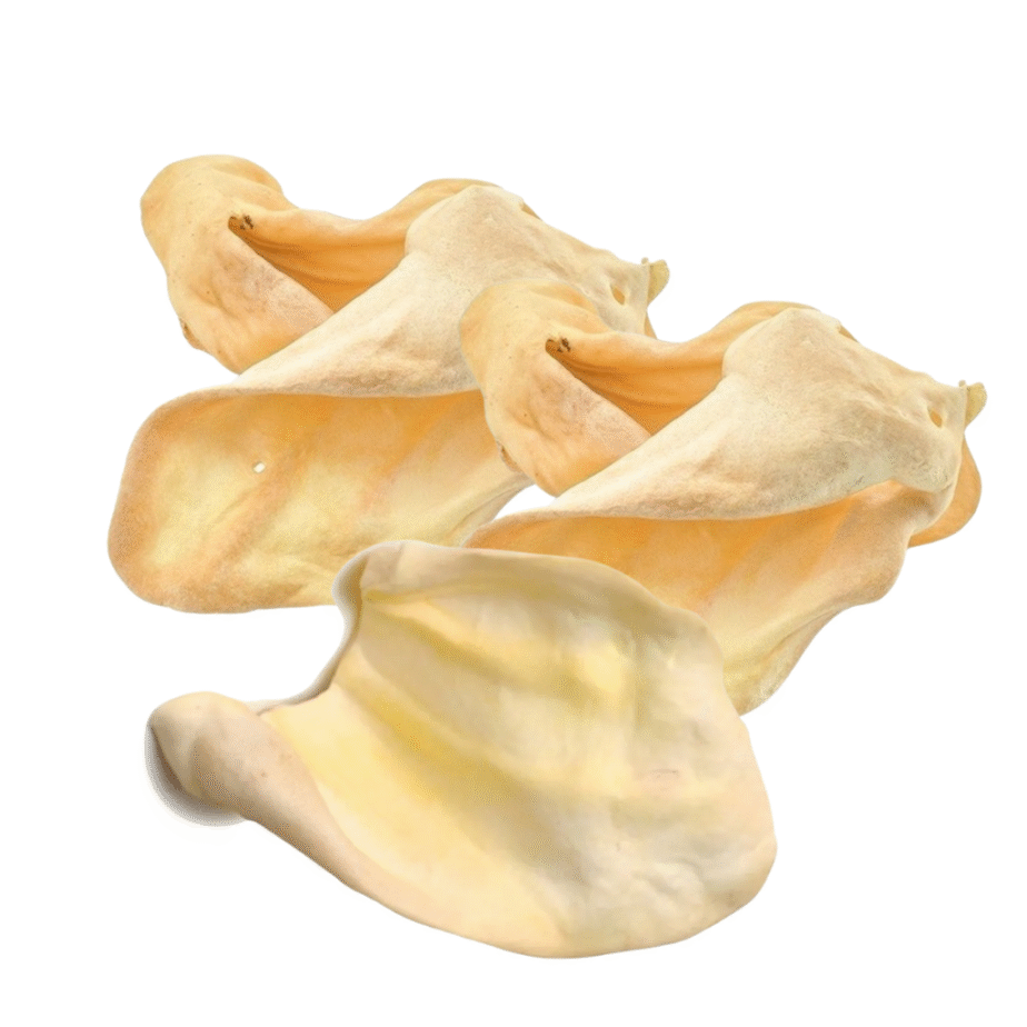 Oreja de Chancho