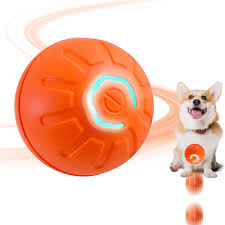 Pelota inteligente grande
