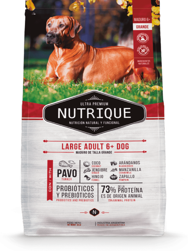 Nutrique Large adulto +6 15kg