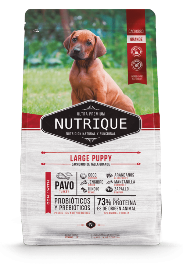 Nutrique Large Puppy 15kg