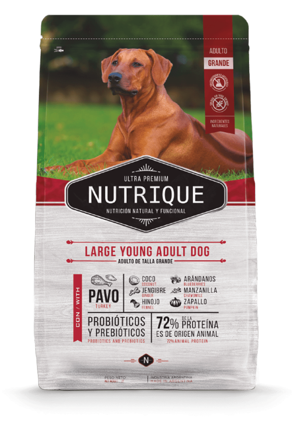 Nutrique Large adulto 15kg