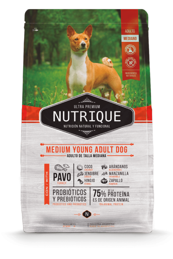 Nutrique Medium adulto 12kg