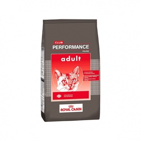 Royal canin Performance gato adulto 1,5kg