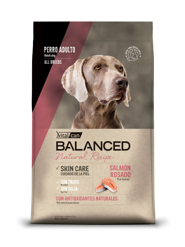 Balanced Natural Recipe perro adulto salmón 15kg