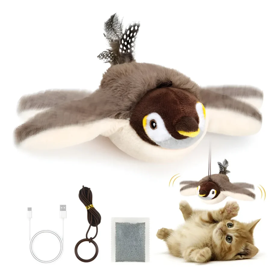 Pajaro Volador Para Gatos