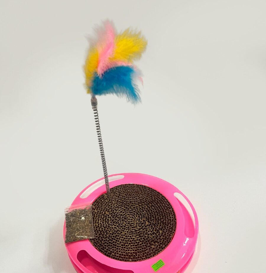 Juguete Para Gato Didactico Rascador Con Catnip