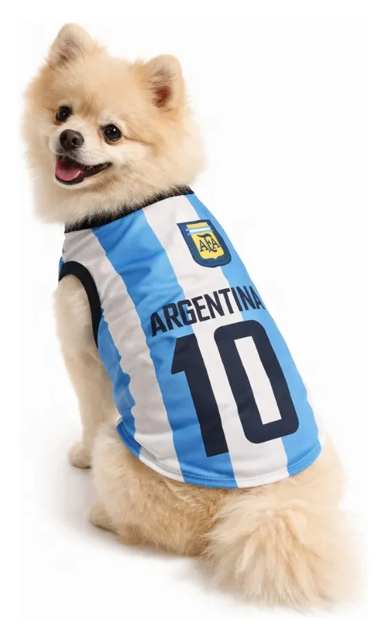 Camisetas de Argentina XL al 5XL