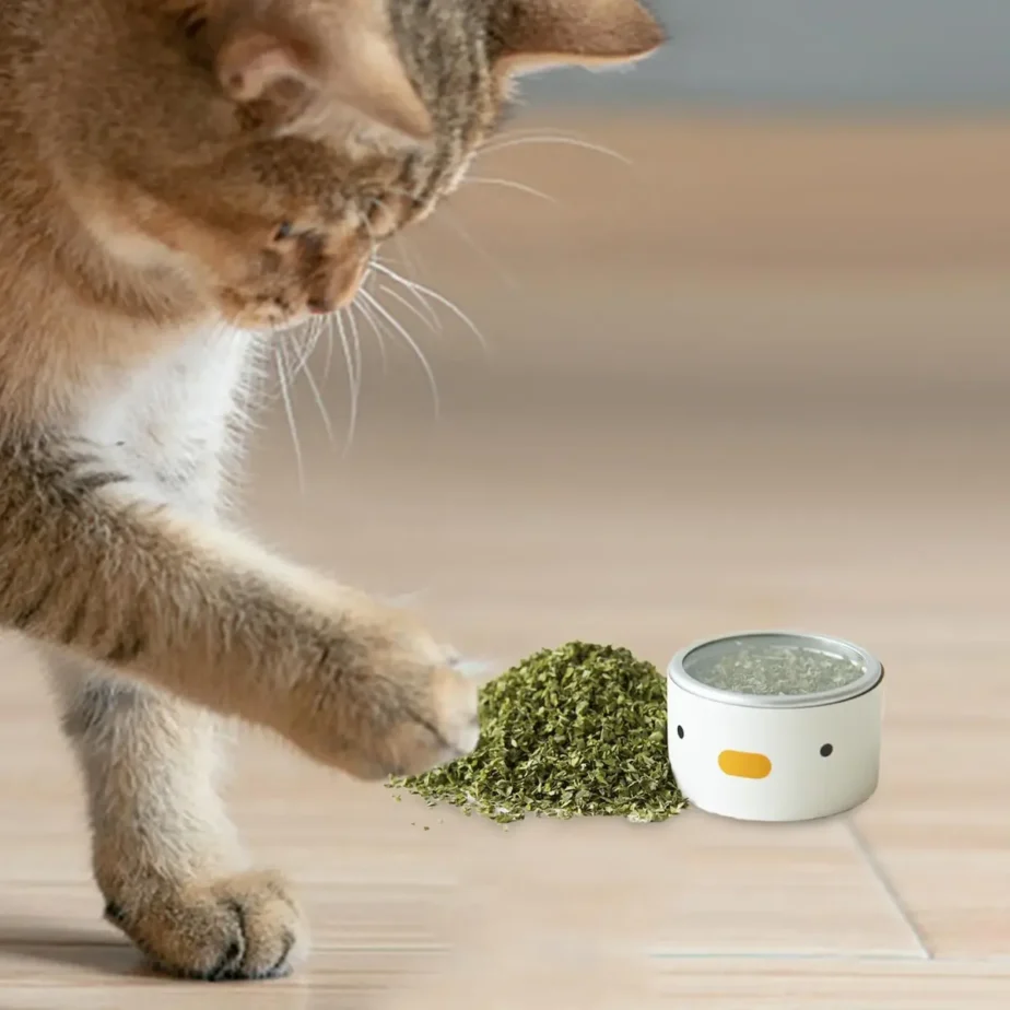 hierba gatera en polvo gato 2 grs