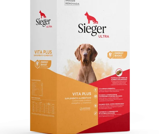 01.-Render-SiegerU-Vita