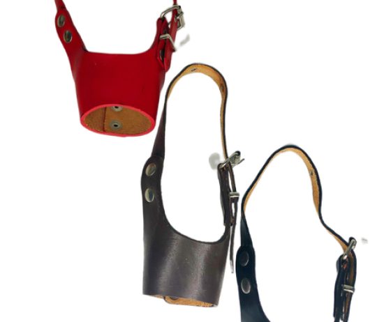 06ff38a5-47df-40f5-b682-fc6ef0d5901a1-a0adea3777e6791d8816716317716424-480-0