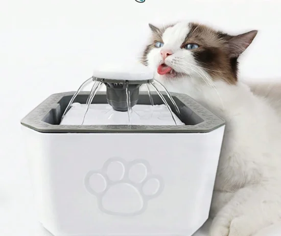 1712551885b8508e9f64fbbde1869b1f8f20c7c5c8