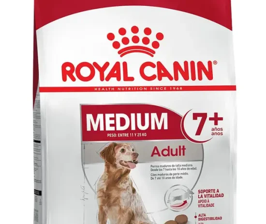 1c17a6e6-cb35-415f-b15d-b20b0026acd6_DownloadAsJpg