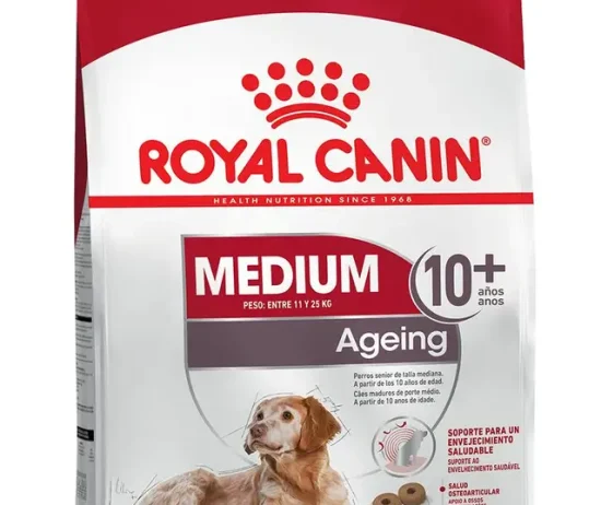 1d7df5c9-9306-4cc9-8798-b20b0026ac78_DownloadAsJpg