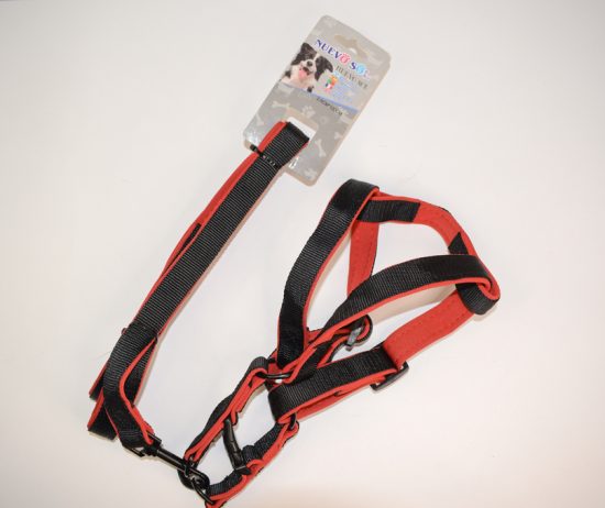 20210812_0911311-4ee5e89a7dc367507b16287952542022-1024-1024