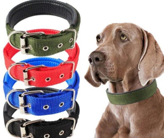 _2023-09-28-09-59-34_edit-org1-28276f62b98634598516959060684999-1024-1024