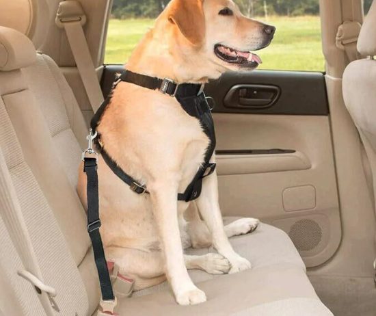 2024-03-15-14-51-36_edit-org-708c1f18f13e85a4a517105251039309-1024-1024