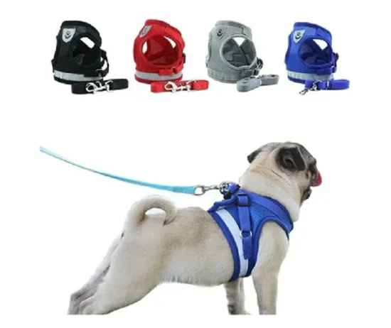 352-pretal-correa-m1-d4d2c5e7628ae6c9a716921265235455-640-0