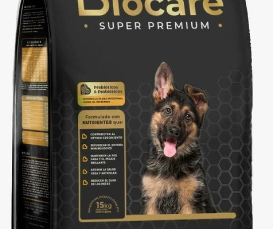 471247806_1099888661988153_5202176842015869388_n-fbfdc9288339893fd517371268162284-480-0