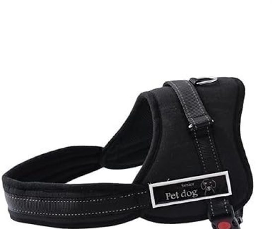 51zqm5zs8tl-_ac_sy355_-5df769688c16dca84b17021377243532-1024-1024