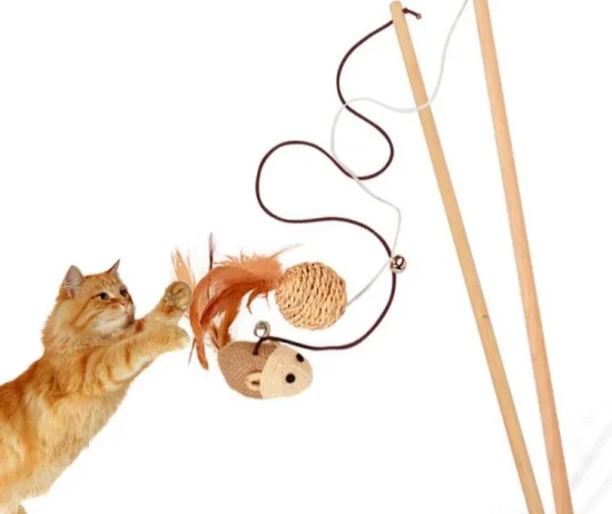 54_MAS07........._800x