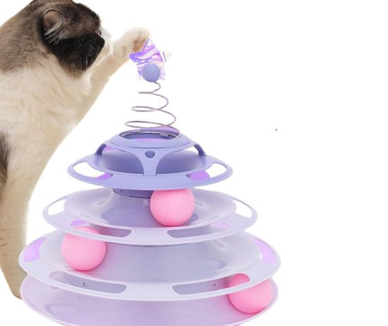 61XvLOJgHJL._UF1000,1000_QL80_