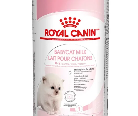 65142d9e-1e15-4301-b719-b2490009a95f_DownloadAsJpg