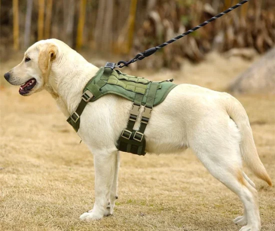 7133-pretal-antitiron-xl-d6f9f04b0d8065d88b17325581734325-640-0