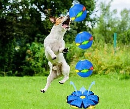 71Ipav9h-BL._UF350,350_QL80_