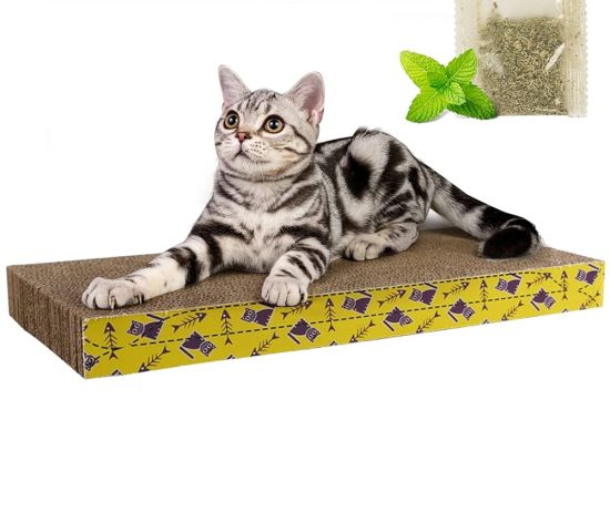 71+siZMwWiL._UF1000,1000_QL80_