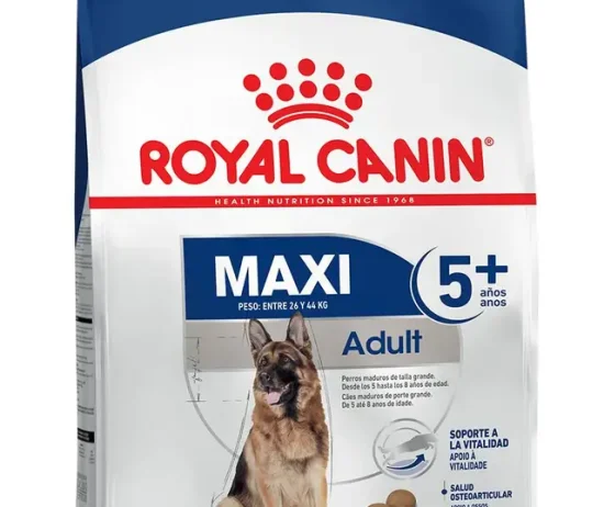 7ac07d55-d739-4712-ab06-b20b0026abb3_DownloadAsJpg