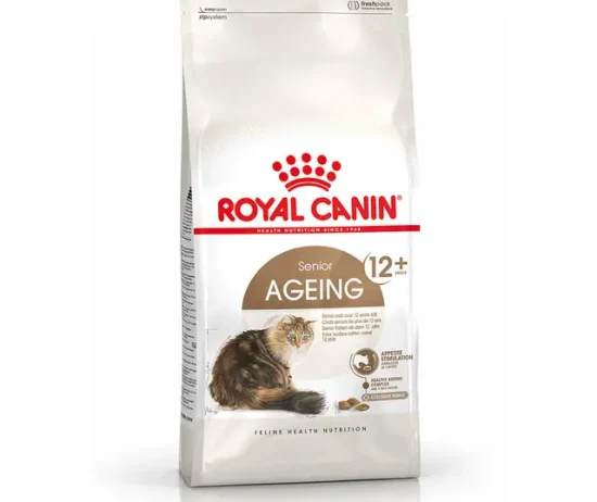 7d3e8e94-4b46-470b-9e48-b20b0026d1be_DownloadAsJpg