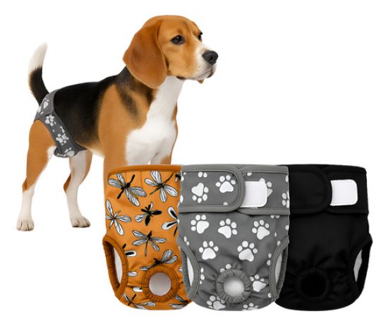 D_736332-MLA89870708961_082025-O