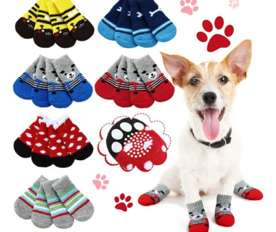 D_878805-MLA75594486029_042024-C