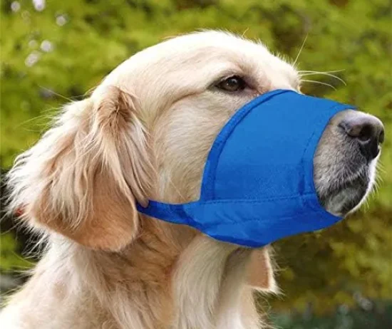 D_NQ_NP_2X_609455-CBT73240580728_122023-F