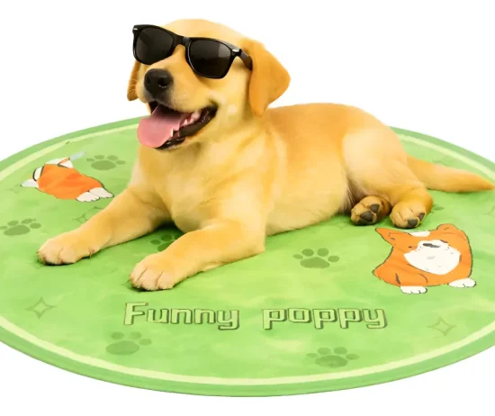 D_NQ_NP_2X_634828-MLA103133886380_012026-F (1)