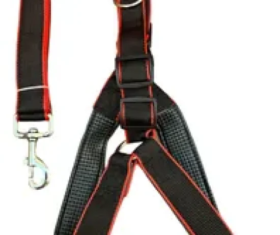 D_NQ_NP_2X_747198-MLU81963909543_012025-T