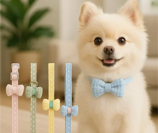 D_NQ_NP_2X_810101-CBT98465798700_112025-F