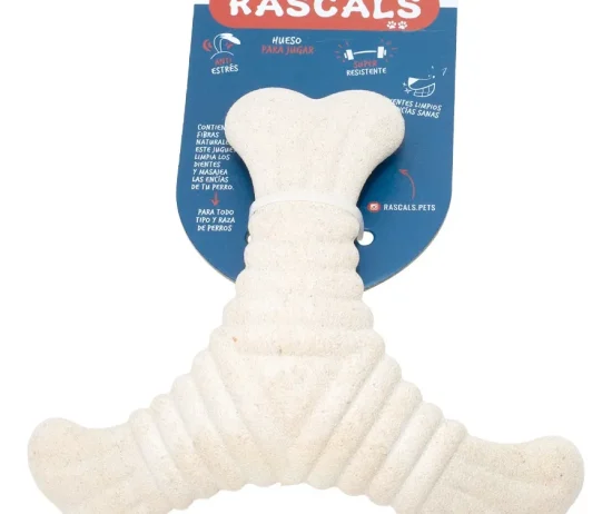 D_NQ_NP_2X_841569-MLA84850519293_052025-F