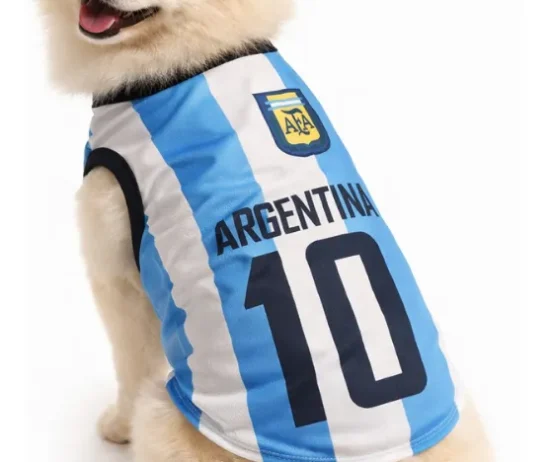 D_NQ_NP_2X_918574-MLA103369211375_012026-F