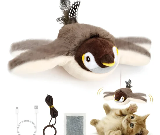 D_NQ_NP_2X_935108-MLA103473730201_012026-F