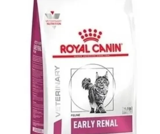 D_NQ_NP_601831-MLU75438996148_042024-O