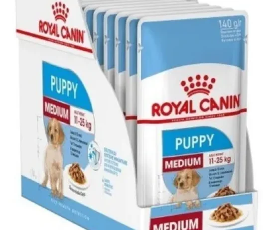 D_NQ_NP_604094-MLA47777731184_102021-O