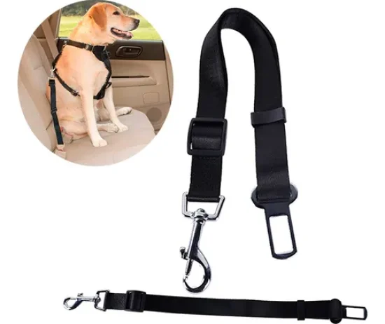 D_NQ_NP_613475-MLA74771130523_022024-O